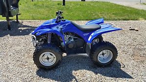 2007 Yamaha Wolverine 450  - Extremely Low Hours 25 - Clean -Original Owner