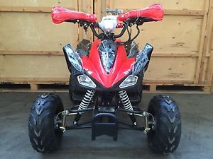 New Quad Bike 2017 125cc automatic Reverse Free Helmet, Goggles and gloves