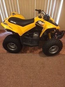 2014 Can-am DS90