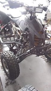 Can-am DS 450