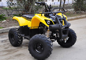 BRAND NEW 110cc Quad Bike (NOT PARTS, YOU ARE BUYING THE QUAD BIKE)