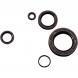 Engine Oil Seal Kit