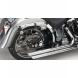 BAGGER-TAIL FOR SOFTAIL