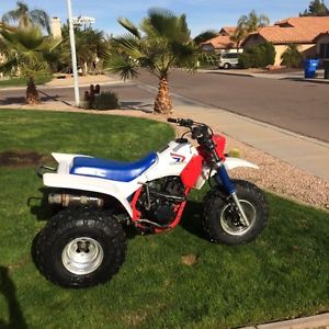 1986 honda 200X