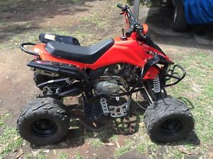 Elstar 125cc Kids ATV Quad Bike Semi Auto