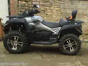 Quadzilla x8 Quad 800cc  cf moto