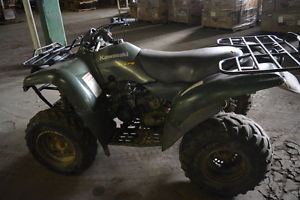 2002 Kawasaki prarie