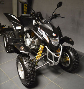 2012 Quadzilla 300e Stinger