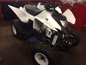 Cpi xs 250 quad bike