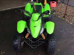 apache dolphin 100cc kids quad bike honda ram Yamaha Suzuki lt