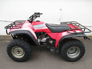 Honda TRX300 ATV