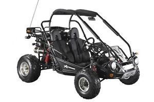 Atomik 300cc side by side ,BUGGY, ATV - Utv!