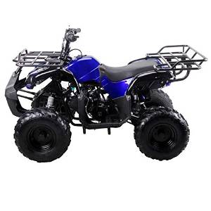 Dong Fang Spider Blue Fully Auto 125cc Kids ATV with Reverse 3125R