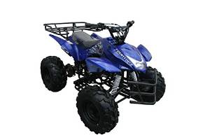 Dong Fang 125cc Four Wheeles ATV for Kids with Reverse Blue 3125a