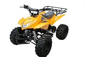 Dong Fang 3125A 125cc four wheeles ATV for Kids Yellow/ Black