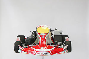 KART BIREL DD2 BirelART ROTAX