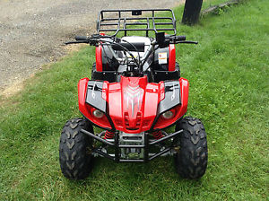 ATV KIDS FARM QUAD BIKE - 50cc and 110cc - EXCLUSIVE TO TRAILBLAZER