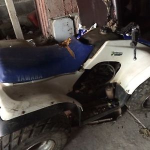 Yamaha 125cc Breeze quad spares repair project
