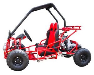 Kids 110CC Off Road Buggie
