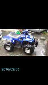 apache 100cc quad