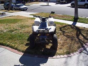 1987 Yamaha Warrior 350