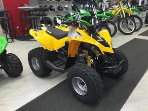2016 Can-Am DS 90