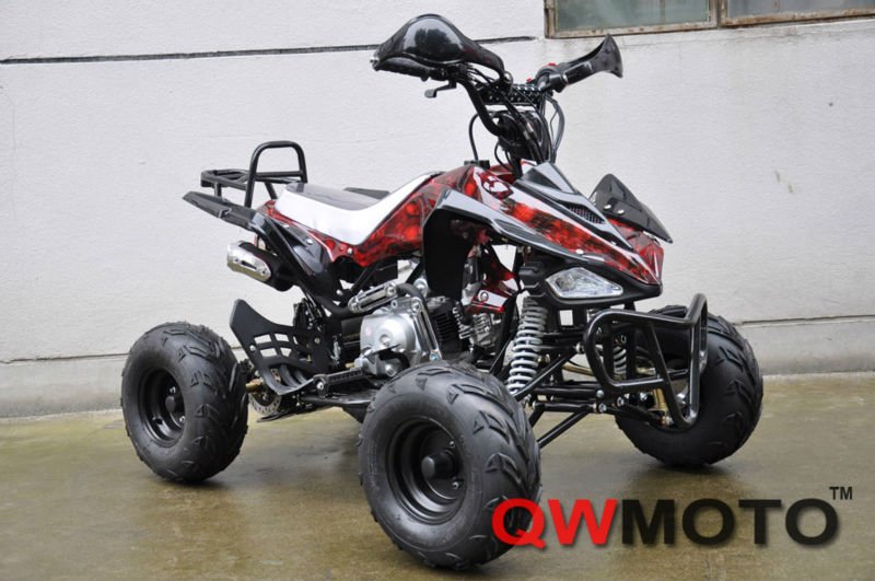 New red skull 110cc ATV for fun