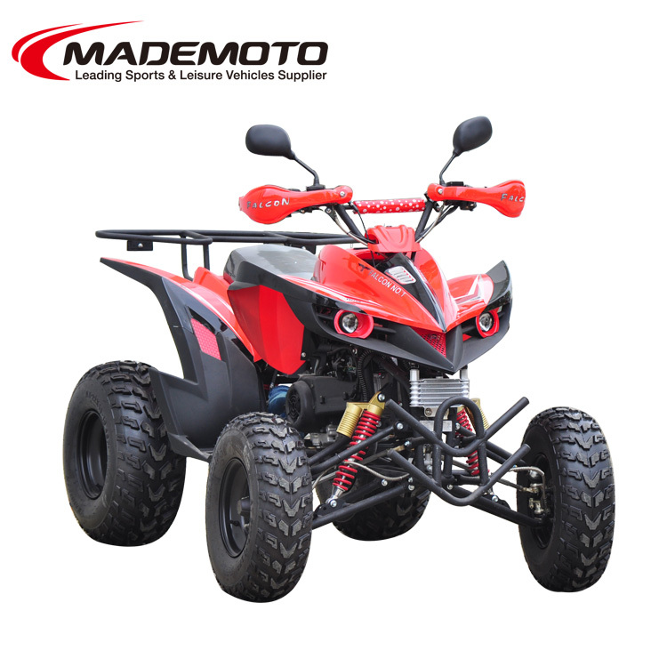 Factory cheap sale OEM Adults Gas Powered ATV 200CC
