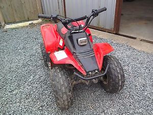 kazuma meerkat kids quad