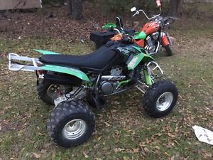 2004 Arctic Cat