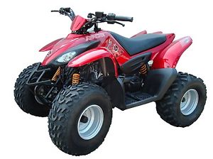 APACHE RLX 100 , BRAND NEW , 100cc, ideal for 7-14 yr old, BRAND NEW READY TO GO