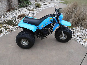 1984 Yamaha ATC 225dx Three Wheeler- Trike