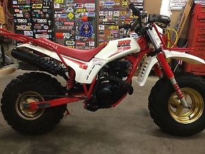 1986 Yamaha Big Wheel 200 BW200 Dirtbike