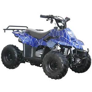 New 110 cc Youth ATV Automatic Coolster
