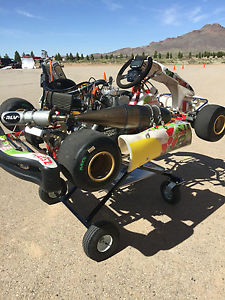 250cc Shifter Kart - massive power & blast to drive