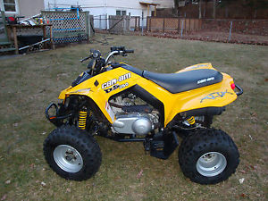 Can Am DS 250 2008 ATV