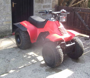 Suzuki Quad Bike