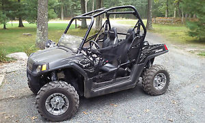 2010 Polaris RZR