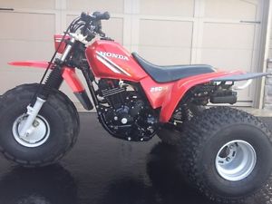 1985 Honda 250SX ATC