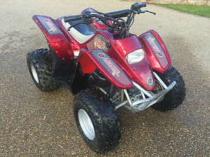 Apache Lightning ZX100 High Performance Junior Quad Bike