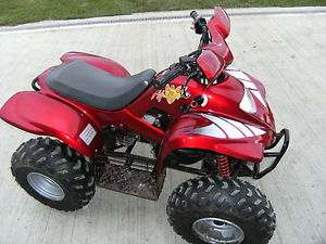 APACHE QUAD  ATV 100  CHILDS QUAD BIKE