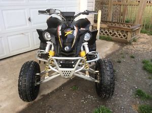 2008 Can-Am DS450X