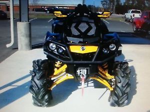 2013 Can AM