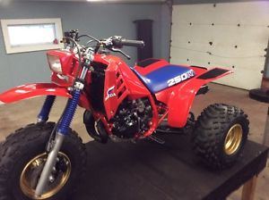 Fully restored 1985 Honda ATC 250r oem build!