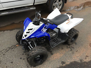 Yamaha Raptor 90 Quad 2013