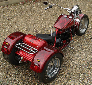 Custom Built Trike based on Reliant engine