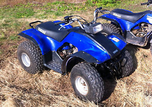 Yamaha Breeze 125 Quad bike/ Offroad