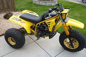Yamaha TRI-Z 250