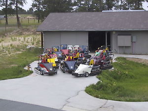 go-kart fleet of 14 electric Trick Champ karts