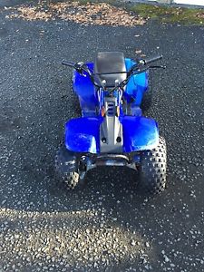 Lt50 quad good running quad Suzuki copy